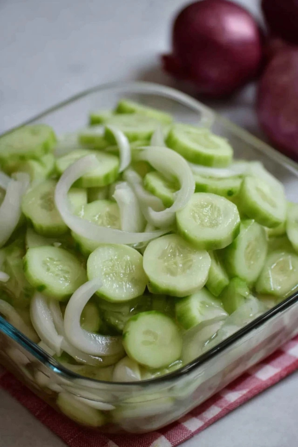 Cucumber and Onions in Vinegar